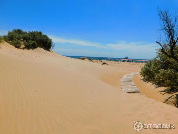 Анапа дюны фото Отзыв о Пляж в поселке Витязево (Россия, Анапа) К морю через дюны