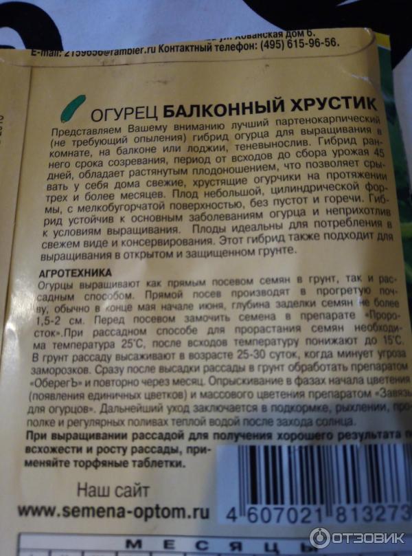 Сорт Огурца Хрустик Отзывы Фото