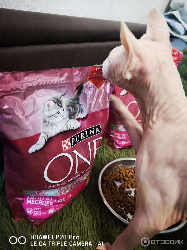 Корм для котят Purina One фото