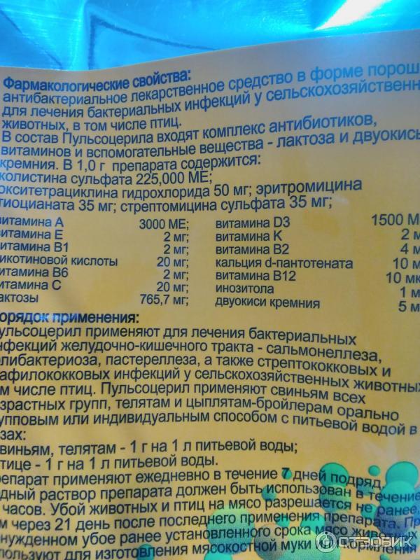 Пульсоцерил для птицы. Пульсо Церил. Лекарство Пульсоцерил для голубей. Пульсоцерил инструкция.