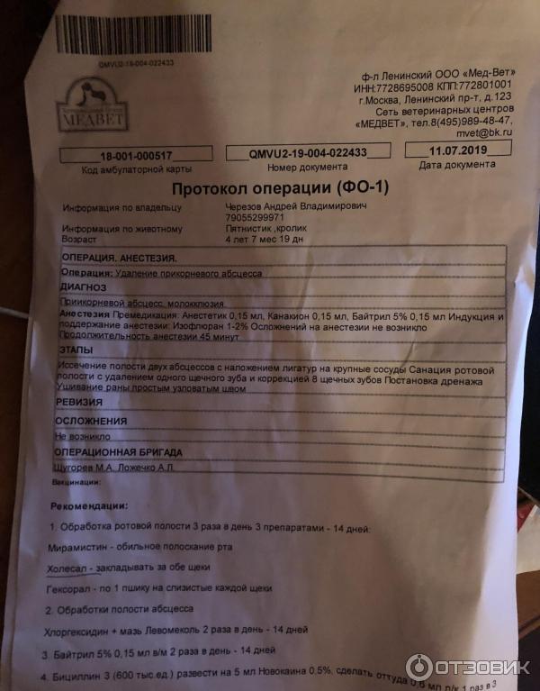 Ветеринарный центр МедВет (Россия, Москва) фото