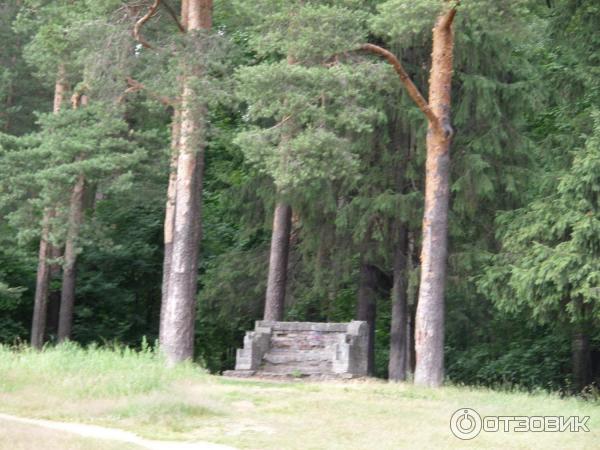 Каменная скамейка в шуваловском парке