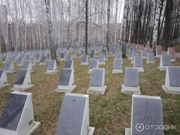 На Южном кладбище Перми деревья срубили прямо на могилы НеСекретно, Пермь