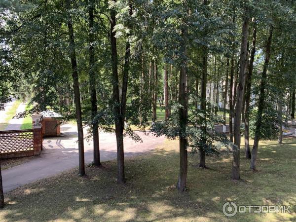 Санаторий Удельная (Россия, Московская область) фото