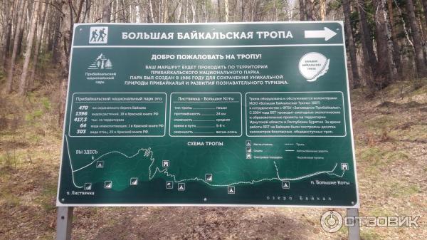 Байкальская тропа маршрут. Ббт листвянка большие коты. Байкальская тропа карта. Байкальская тропа листвянка маршрут. Байкальская тропа листвянка большие коты маршрут.