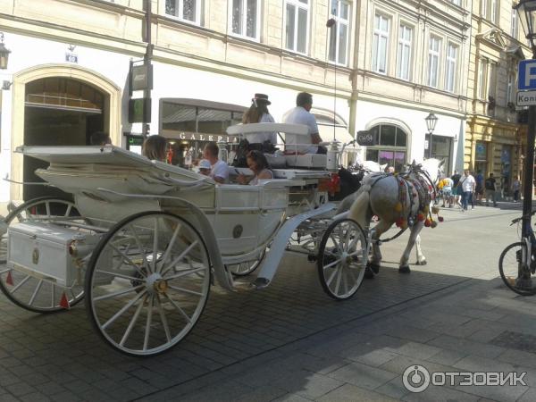 Рыночная площадь и Сукенницы (Польша, Краков) фото