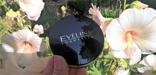 Минеральная матирующая компактная пудра с разглаживающим эффектом Eveline Celebrities Beauty фото