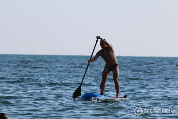 Надувная доска для SUP серфинга Shark-10.6 All ROUND RIDE фото