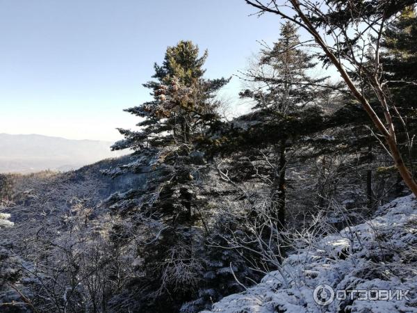 Сопка воробей приморский край. Сопка воробей приморский край. Сопка туманная приморский край. Гора туманная воробей приморский край. Гора туманная воробей приморский край.
