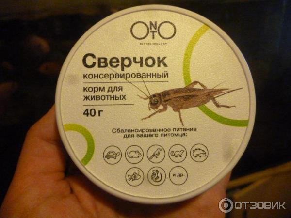Можно ли стрижу консервированные сверчки. Сверчок корм для животных. сверчок консервированный onto. onto сверчки. сверчок консервированный для эублефара.
