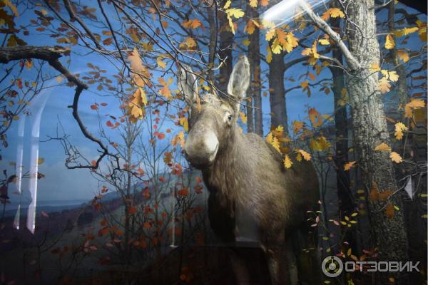 Отзыв о Экскурсия по г. Камышин (Россия, Волгоградская область ...