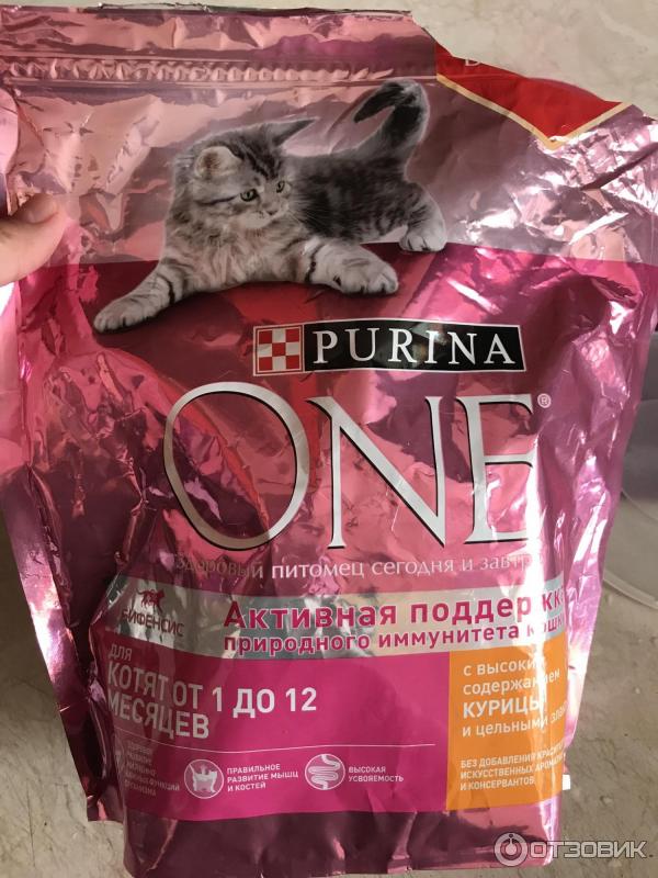 Корм для котят Purina One фото