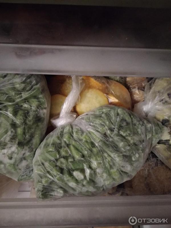 Фасоль спаржевая Гавриш Нота фото