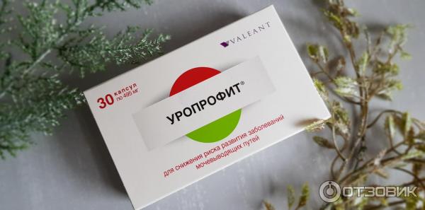 Растительное уросептическое средство Valeant Уропрофит фото