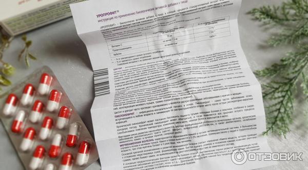 Растительное уросептическое средство Valeant Уропрофит фото