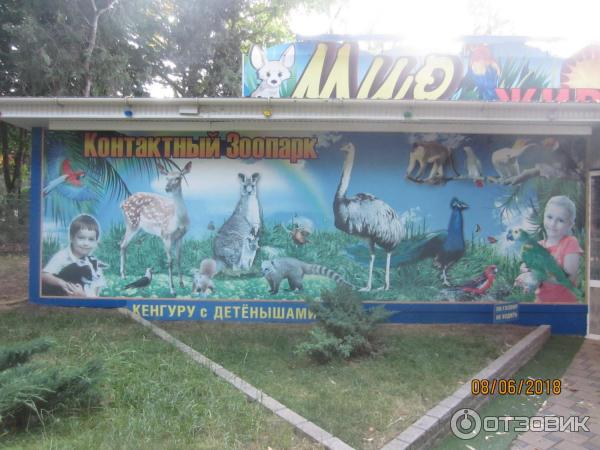 Контактный зоопарк мир животных. Мир животных анапа зоопарк. Контактный зоопарк анапа. Мир животных анапа зоопарк. Зоопарк витязево.