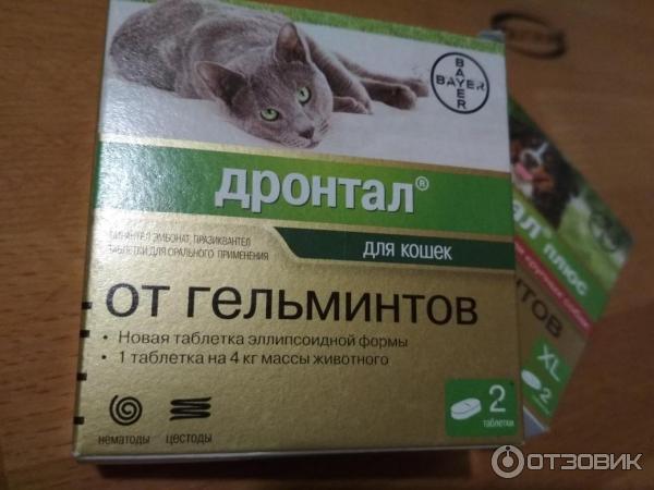 Дронтал Для Кошек Купить В Новосибирске