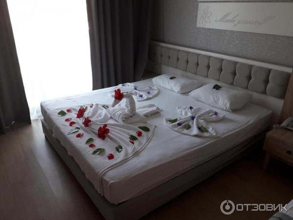 Отель Orfeus Queen Resort and Spa 4