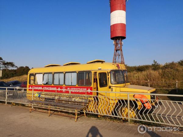 Отдых на Куршской косе (Россия, Калининградская область) фото