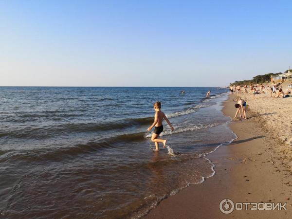 Отдых на Куршской косе (Россия, Калининградская область) фото