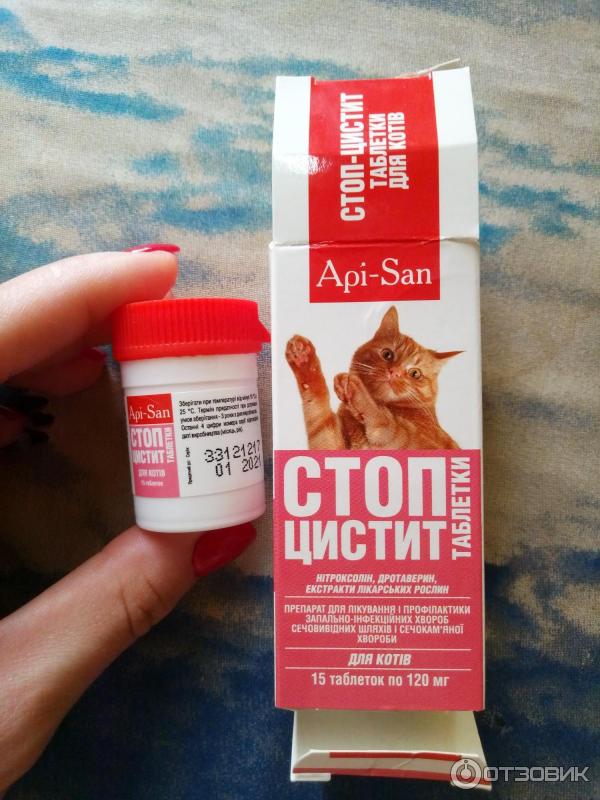Стопцистит для котов