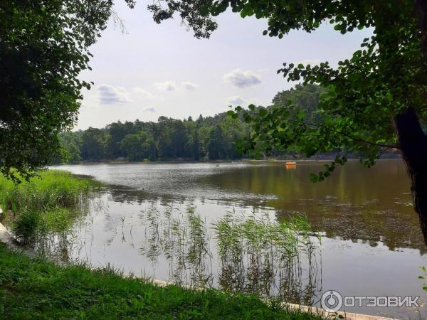 Отдых в г. Светлогорск (Россия, Калининградская область) фото