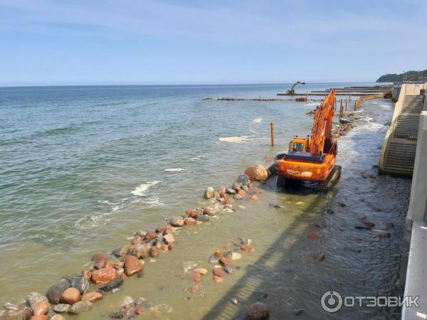 Отдых в г. Светлогорск (Россия, Калининградская область) фото