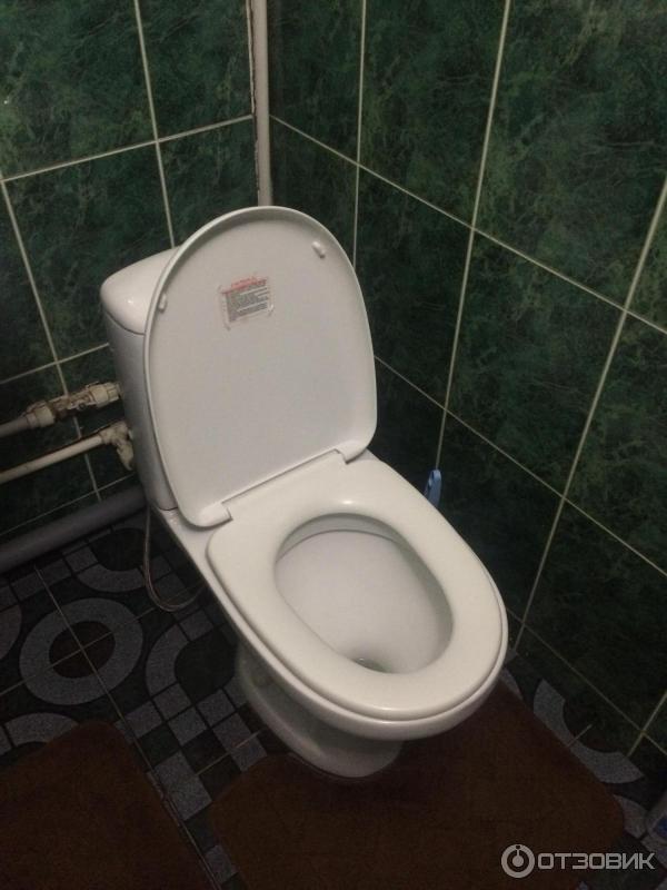 Отель Звездный фото