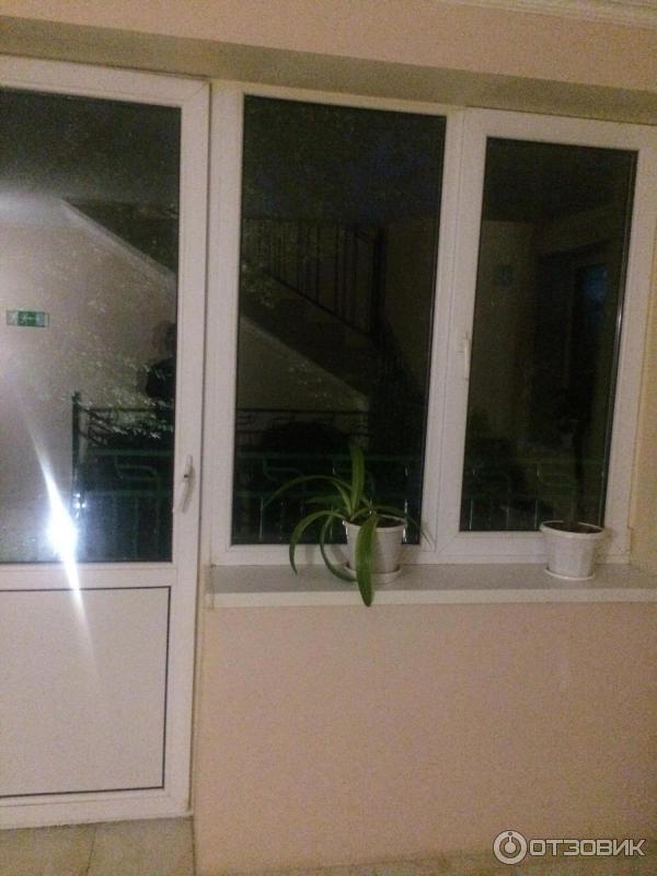 Отель Звездный фото