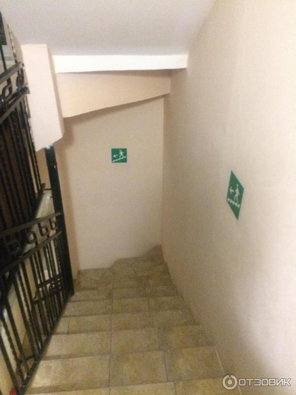 Отель Звездный фото