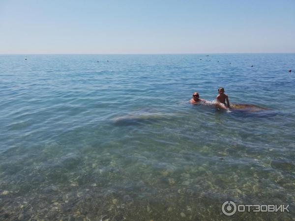 Пляж в Аше