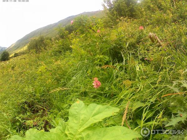 Чучхурский водопад (Россия, Карачаево-Черкесия) фото