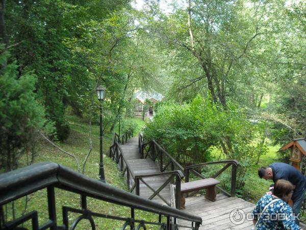 Святой Источник преподобного Давида в селе Талеж (Россия, Чехов) фото