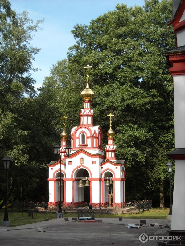 Святой Источник преподобного Давида в селе Талеж (Россия, Чехов) фото