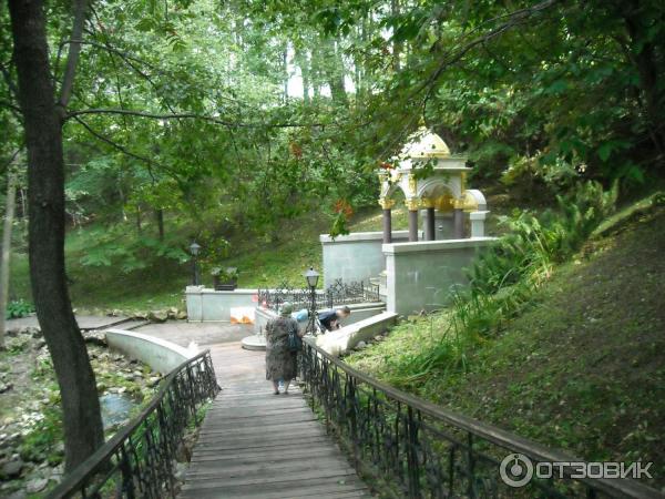 Святой Источник преподобного Давида в селе Талеж (Россия, Чехов) фото