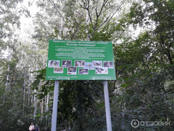 Парк Затюменский (Россия, Тюмень) фото