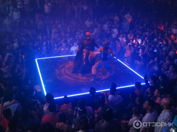 Қайын енесінің киткасы фотосы