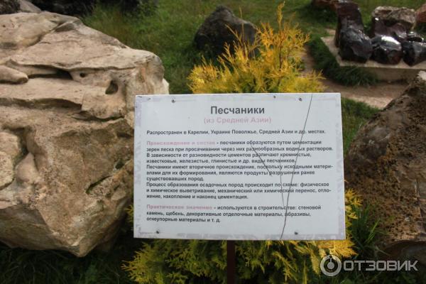 Парк птиц Воробьи (Россия, Калужская область) фото