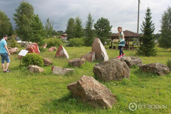 Парк птиц Воробьи (Россия, Калужская область) фото