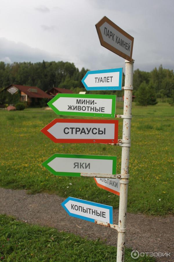 Парк птиц Воробьи (Россия, Калужская область) фото