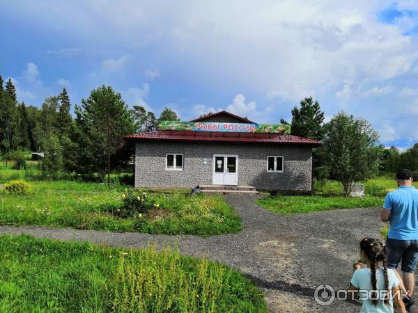 Парк птиц Воробьи (Россия, Калужская область) фото