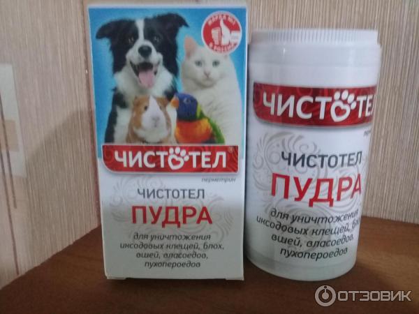 (л) с304 чистотел пудра от блох и клещей универсал 100гр*36. Чистотел пудра для грызунов. Чистотел пудра для грызунов. Чистотел порошок для животных. Пудра чистотел от блох и клещей.