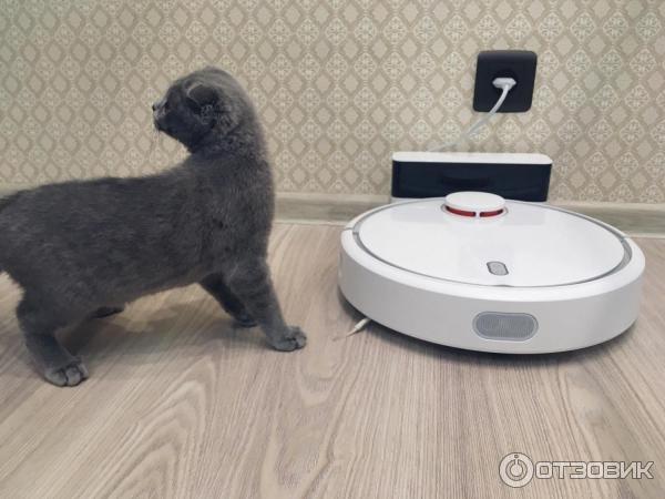 Робот пылесос Xiaomi Mi Robot Vacuum Cleaner фото