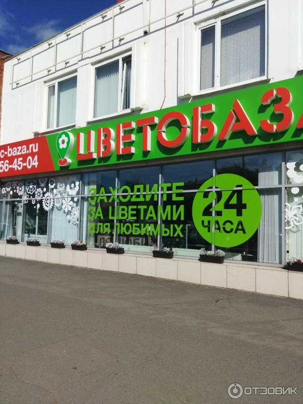 Цветобаза адреса. Цветобаза Ижевск. Цветочная Ижевск. Цвета база Ижевск.