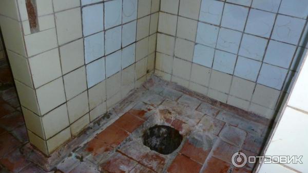 Пансионат Домостроитель (Россия, Энгельс) фото