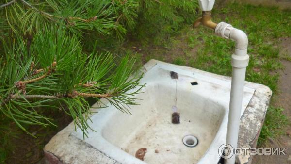 Пансионат Домостроитель (Россия, Энгельс) фото