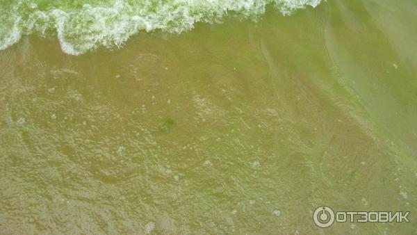 Пансионат Домостроитель (Россия, Энгельс) фото