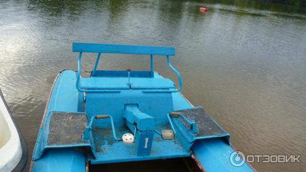 Пансионат Домостроитель (Россия, Энгельс) фото