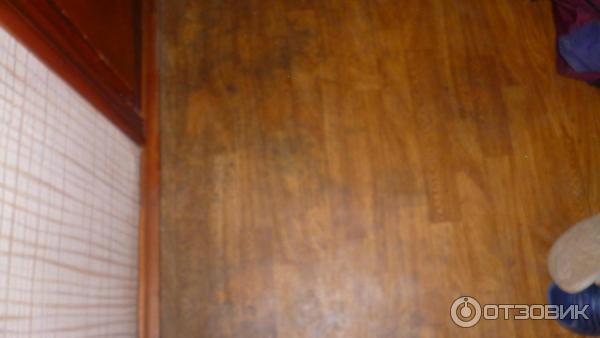 Пансионат Домостроитель (Россия, Энгельс) фото