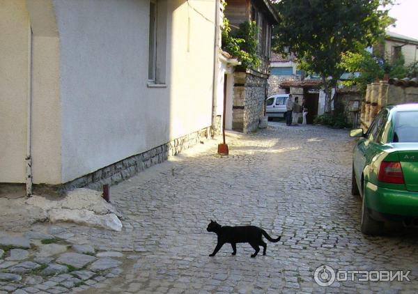 Церкви Несебра (Болгария, Бургасская область) фото